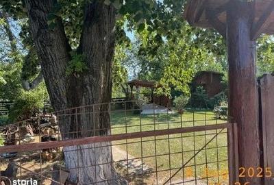 Casă cu 3 camere în Coșești - 13