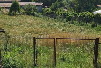 Casă cu 3 camere în Bârsești (Mihăești) - 5