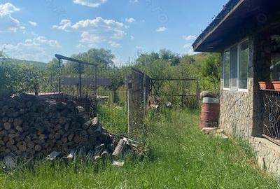 Casă cu 5 camere în Carcadiești - 9