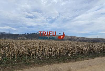 Teren agricol extravilan de 3400 mp, în Ampoi 1