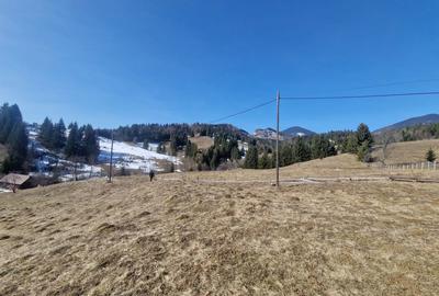 Spațiu comercial, în Colibița - 1