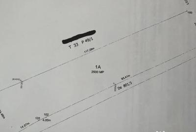 Teren de 2500 mp, în Malu Mare