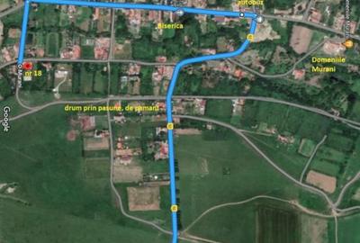 Spațiu comercial, în Murani - 7