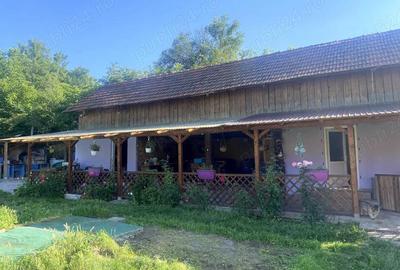 Casa renovata in stil occidental, cu planta?ie de lavanda! - 5