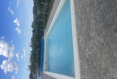 Casa de vacanta ?i piscina cu deschidere la lac. - 2