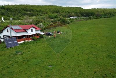 Casă individuală cu 4 camere cu Teren 57600 Mp în Sâncraiu Almașului - 6