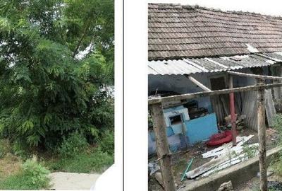 Casă cu 2 camere cu Teren 2361 Mp în Costinești - 12