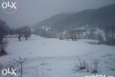 Teren de 3142 mp, în Vulcana-Băi - 2
