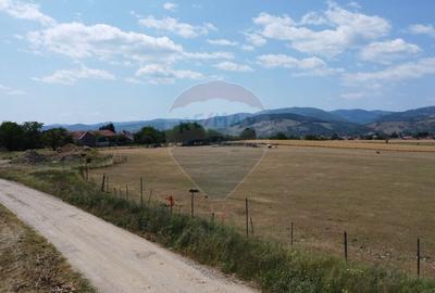 Teren Construcții intravilan de 5000 mp, în Vințu de Jos - 13