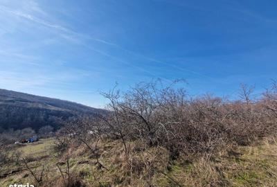 Teren de 23400 mp, în Ghioroc