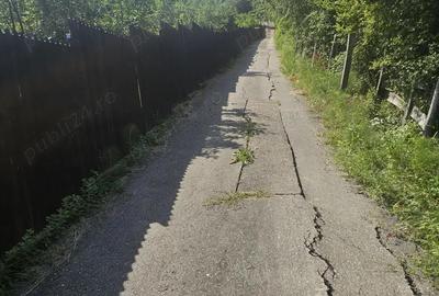 Casă cu 3 camere în Golești - 2