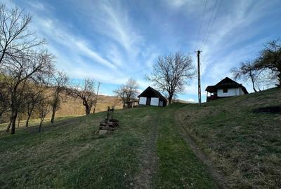 Spațiu comercial, în Săliștioara - 5