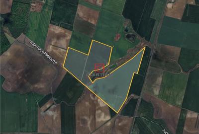 Teren Peris - Crevedia, Ilfov - 5