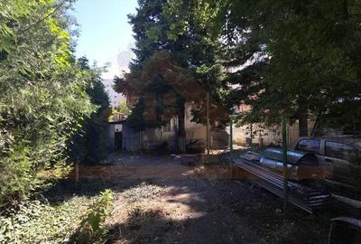 Casă cu 10 camere cu Teren 4263 Mp în Muncii - 1