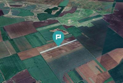 Teren 30.000 mp la drum asfaltat Peciu Nou - 3