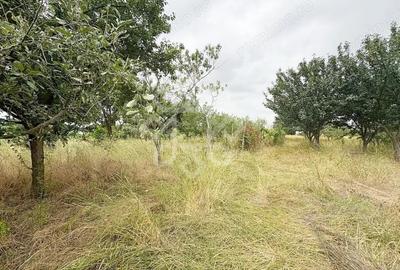 Casa de vanzare la 22 km de Oradea, Santaul Mare, Bihor - 8