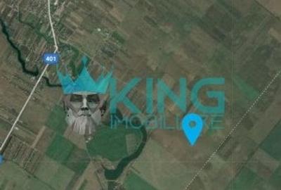 Teren agricol extravilan de 25000 mp, în Vidra
