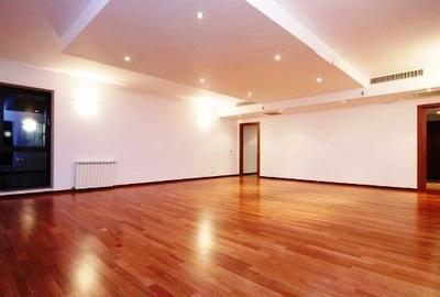 Apartament nemobilat Herastrau - 10