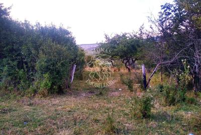 Teren agricol extravilan de 6000 mp, în Satu Nou - 2