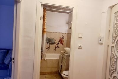 Pantelimon/ Aleea Vergului/ metrou Costin Georgian - 7