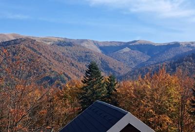 VAND PENTHOUSE 280 MP IN VILA + GARAJ LUX IN SINAIA PH COTA 1400 - 19