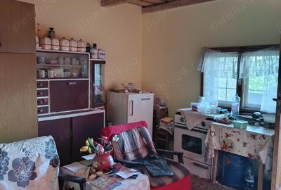 Vand teren+o cabanuta