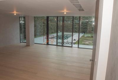 Casă cu 7 camere cu Teren 800 Mp în Iancu Nicolae - 10