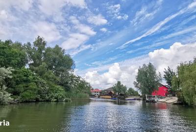Casă cu Teren 1500 Mp în Murighiol - 2