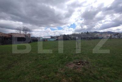 Casa 80mp, teren 7500mp , intravilan, zona Valea Bargaului - 13