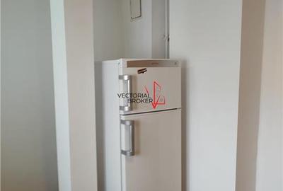 Garsonieră decomandată, mobilată în Dristor - 5