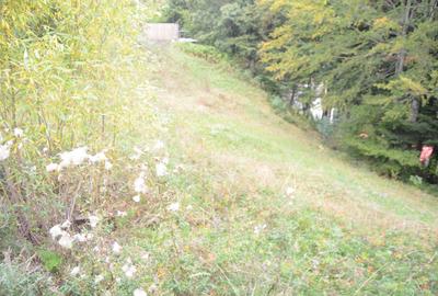 Teren de 1300 mp, în Valea Alba - 8