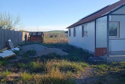 Casă cu Teren 6000 Mp în Hărman - 2