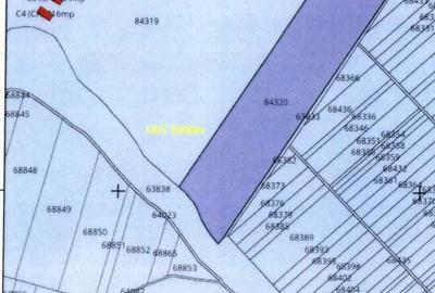 Teren intravilan 5 Ha, Bucuresti-Sud,Vidra Ilfov, Aproape de centura sud. - 4