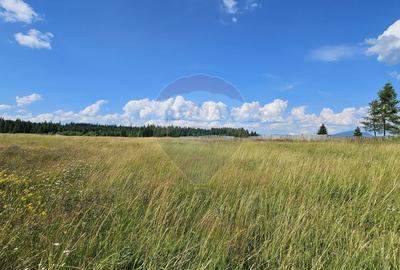 Teren partial intravilan 30,930 mp Poiana Stampei-DN E58, Suceava - 16