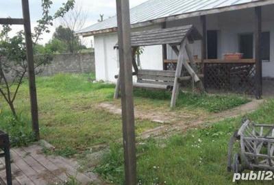 Spațiu comercial, de 1,200 mp, în Potlogi - 8