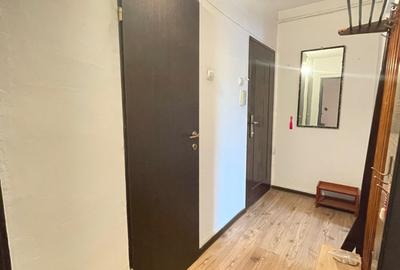 Apartament cu 2 camere nedecomandat, mobilat în Podu Roș - 6