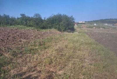 Teren de 1000 mp, în Calea Aradului - 3