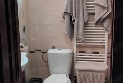 Vanzare apartament 2 camere decomandate, parter, ultracentral in Caransebes - 5