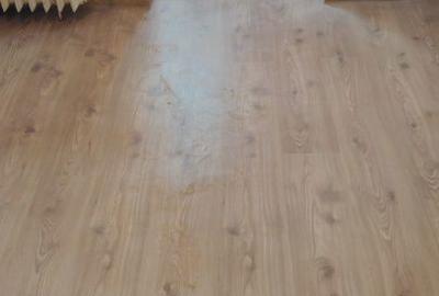 Apartament cu 2 camere în Blașcovici - 2