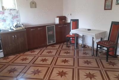Vand casa in sat Brestea,com Denta,Timis - 3