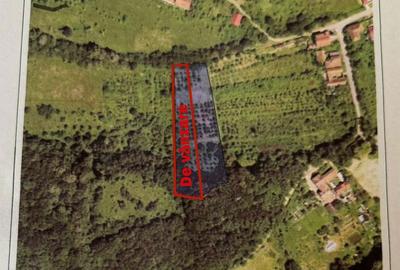 Spațiu comercial, în Caransebeș - 3