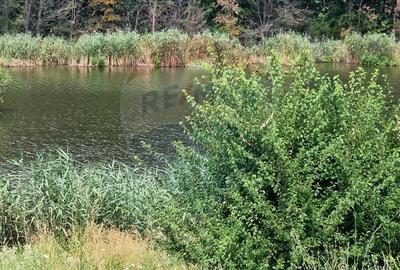 DE VANZARE Teren lac, 4500mp Moara Vlasiei - 4