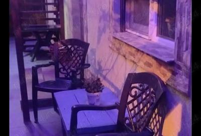 Cazare petreceri ,aniversari , cabana , vila , capacitate 14 persoane - 9