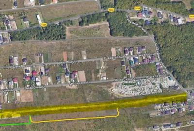 Teren de 14935 mp, în Trivale - 5