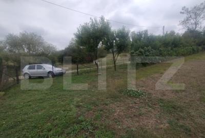 Cabana + teren intravilan, 50 ari, oras Beclean - 1