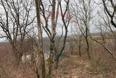 Teren agricol extravilan de 2900 mp, în Independenței - 3