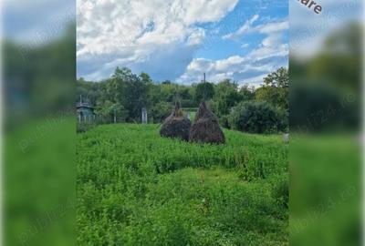 Teren de 1800 mp, în Ciurila