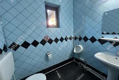 Spațiu comercial, în Paltin - 16