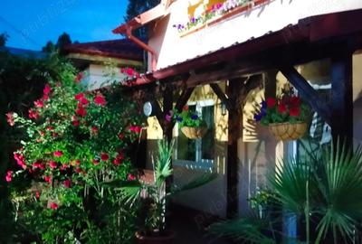 Vila de vanzare in Campina Prahova - 3