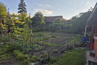 Casa de vanzarea - 9